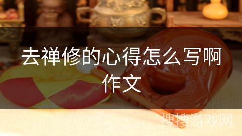 去禅修的心得怎么写啊作文 去禅修的心得怎么写啊作文
