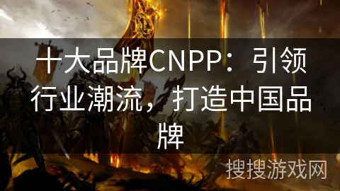 十大品牌CNPP:引领行业潮流,打造中国品牌 十大品牌CNPP:引领行业潮流,打造中国品牌
