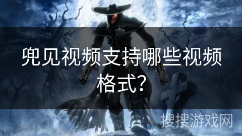 兜见视频支持哪些视频格式？