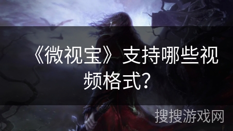 《微视宝》支持哪些视频格式? 《微视宝》支持哪些视频格式?