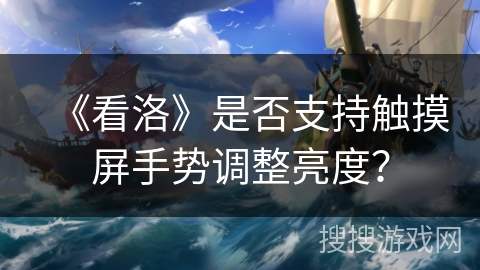 《看洛》是否支持触摸屏手势调整亮度？