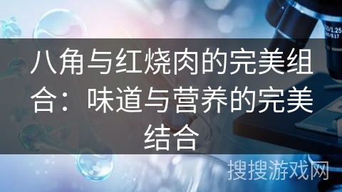 八角与红烧肉的完美组合:味道与营养的完美结合