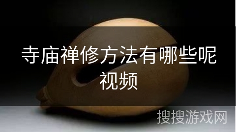 寺庙禅修方法有哪些呢视频 寺庙禅修方法有哪些呢视频
