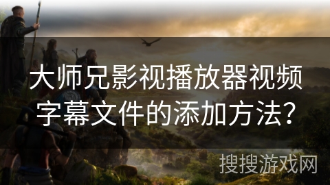 大师兄影视播放器视频字幕文件的添加方法？