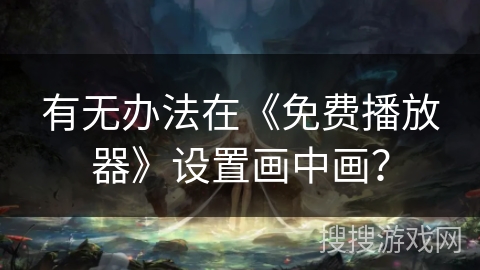 有无办法在《免费播放器》设置画中画? 有无办法在《免费播放器》设置画中画?