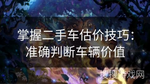 掌握二手车估价技巧：准确判断车辆价值