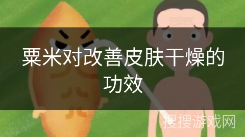 粟米对改善皮肤干燥的功效