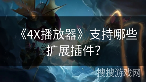 《4X播放器》支持哪些扩展插件? 《4X播放器》支持哪些扩展插件?