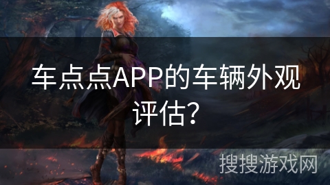 车点点APP的车辆外观评估? 车点点APP的车辆外观评估?