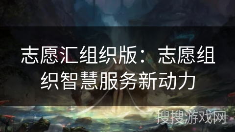 志愿汇组织版:志愿组织智慧服务新动力 志愿汇组织版:志愿组织智慧服务新动力