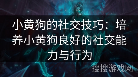 小黄狗的社交技巧:培养小黄狗良好的社交能力与行为 小黄狗的社交技巧:培养小黄狗良好的社交能力与行为