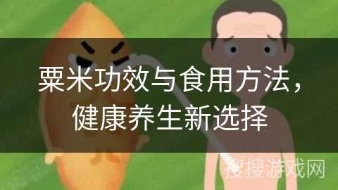 粟米功效与食用方法,健康养生新选择
