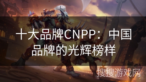 十大品牌CNPP:中国品牌的光辉榜样 十大品牌CNPP:中国品牌的光辉榜样