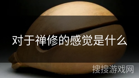 对于禅修的感觉是什么