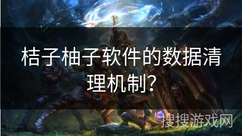 桔子柚子软件的数据清理机制? 桔子柚子软件的数据清理机制?