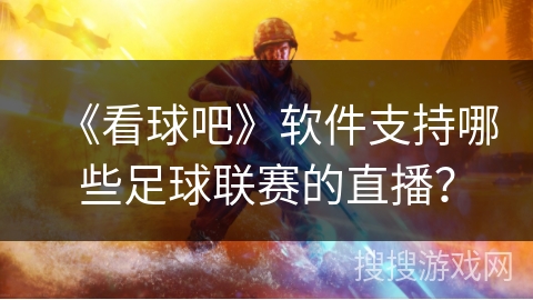 《看球吧》软件支持哪些足球联赛的直播? 《看球吧》软件支持哪些足球联赛的直播?