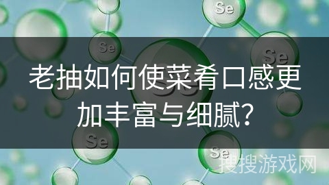 老抽如何使菜肴口感更加丰富与细腻?