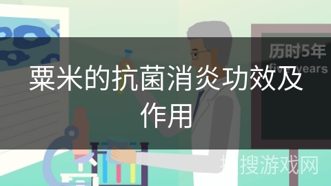粟米的抗菌消炎功效及作用