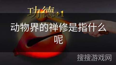 动物界的禅修是指什么呢 动物界的禅修是指什么呢