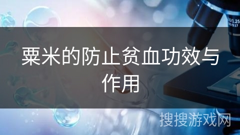粟米的防止贫血功效与作用