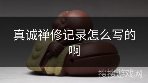 真诚禅修记录怎么写的啊