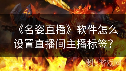 《名姿直播》软件怎么设置直播间主播标签？