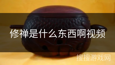 修禅是什么东西啊视频