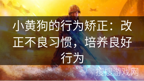 小黄狗的行为矫正:改正不良习惯,培养良好行为 小黄狗的行为矫正:改正不良习惯,培养良好行为