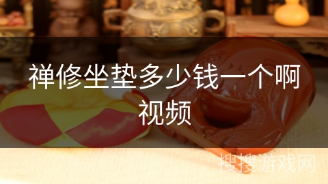 禅修坐垫多少钱一个啊视频 禅修坐垫多少钱一个啊视频