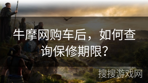 牛摩网购车后，如何查询保修期限？