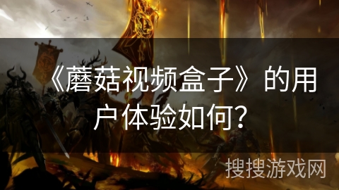 《蘑菇视频盒子》的用户体验如何？