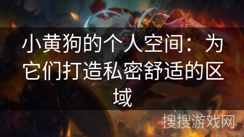 小黄狗的个人空间：为它们打造私密舒适的区域
