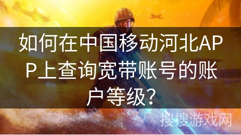 如何在中国移动河北APP上查询宽带账号的账户等级? 如何在中国移动河北APP上查询宽带账号的账户等级?
