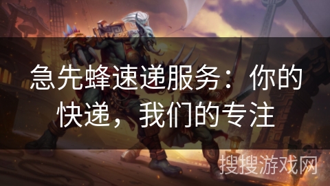 急先蜂速递服务：你的快递，我们的专注