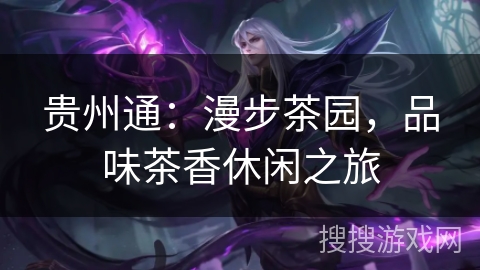 贵州通：漫步茶园，品味茶香休闲之旅