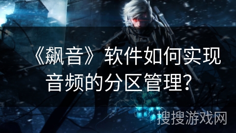 《飙音》软件如何实现音频的分区管理？