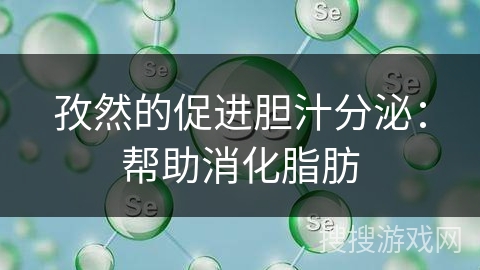 孜然的促进胆汁分泌：帮助消化脂肪
