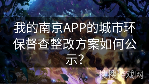 我的南京APP的城市环保督查整改方案如何公示？