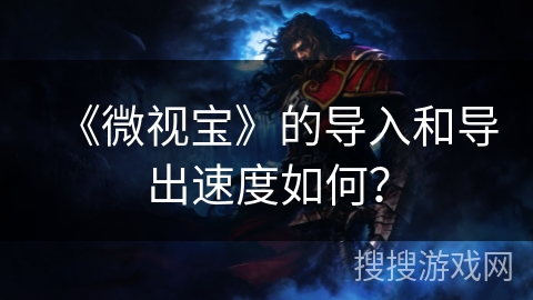 《微视宝》的导入和导出速度如何？