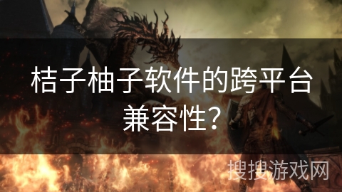 桔子柚子软件的跨平台兼容性？