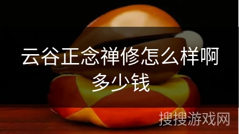 云谷正念禅修怎么样啊多少钱 云谷正念禅修怎么样啊多少钱