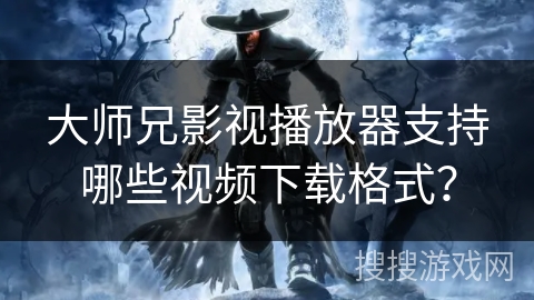 大师兄影视播放器支持哪些视频下载格式? 大师兄影视播放器支持哪些视频下载格式?