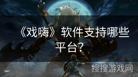 《戏嗨》软件支持哪些平台? 《戏嗨》软件支持哪些平台?