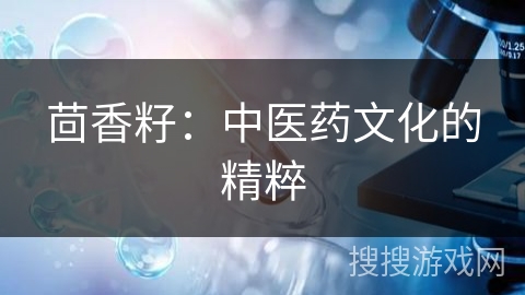 茴香籽:中医药文化的精粹