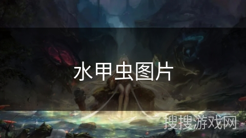 水甲虫图片 水甲虫图片