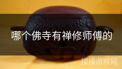 哪个佛寺有禅修师傅的 哪个佛寺有禅修师傅的