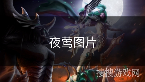 夜莺图片 夜莺图片