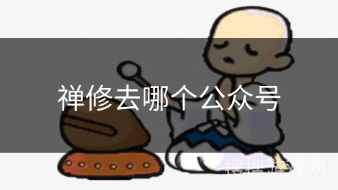 禅修去哪个公众号 禅修去哪个公众号