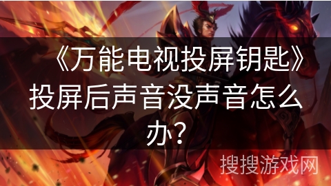 《万能电视投屏钥匙》投屏后声音没声音怎么办？