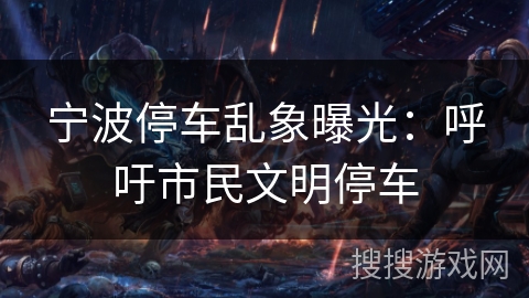 宁波停车乱象曝光:呼吁市民文明停车 宁波停车乱象曝光:呼吁市民文明停车